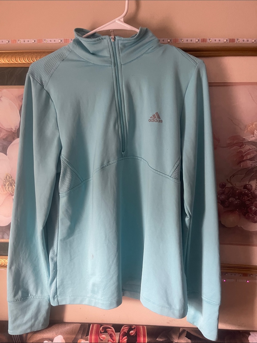 adidas Men’s Light Aqua Half-Zip Pullover
